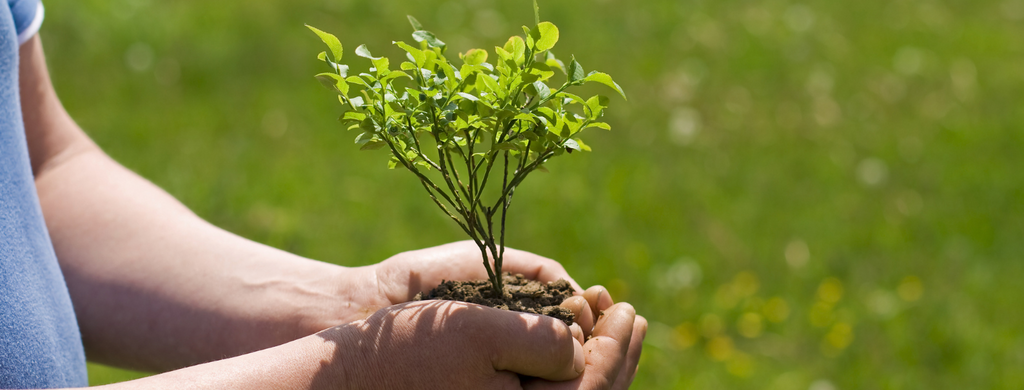 Dia Mundial da Educação Ambiental: Transformando Conhecimento em Ação!