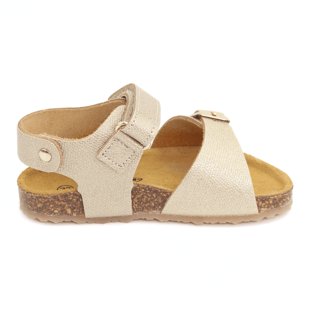 SANDÁLIAS PLAKTON PETRA DOURADO - Pituka Wear 