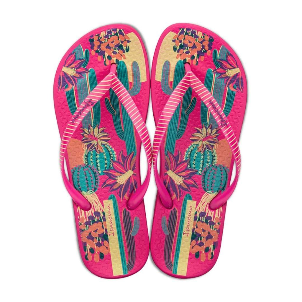 CHINELOS IPANEMA ANATOMIC CACTUS ADULTO E CRIANÇA - Pituka Wear 